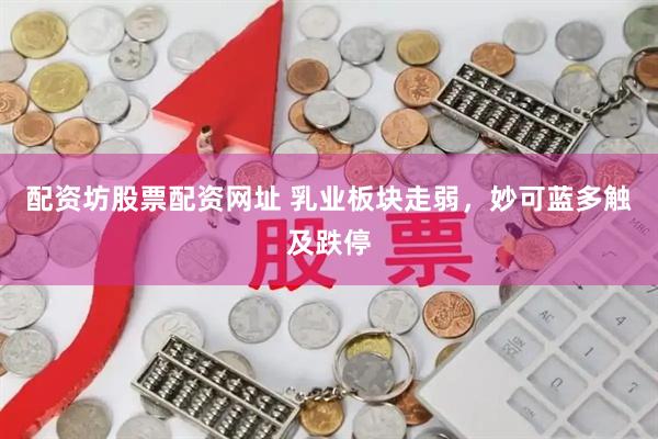 配资坊股票配资网址 乳业板块走弱，妙可蓝多触及跌停