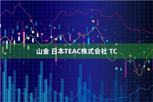 山金 日本TEAC株式会社 TC