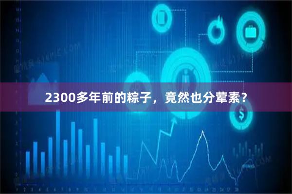 2300多年前的粽子，竟然也分荤素？
